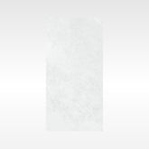 Ionic Grey 300x600 Matt